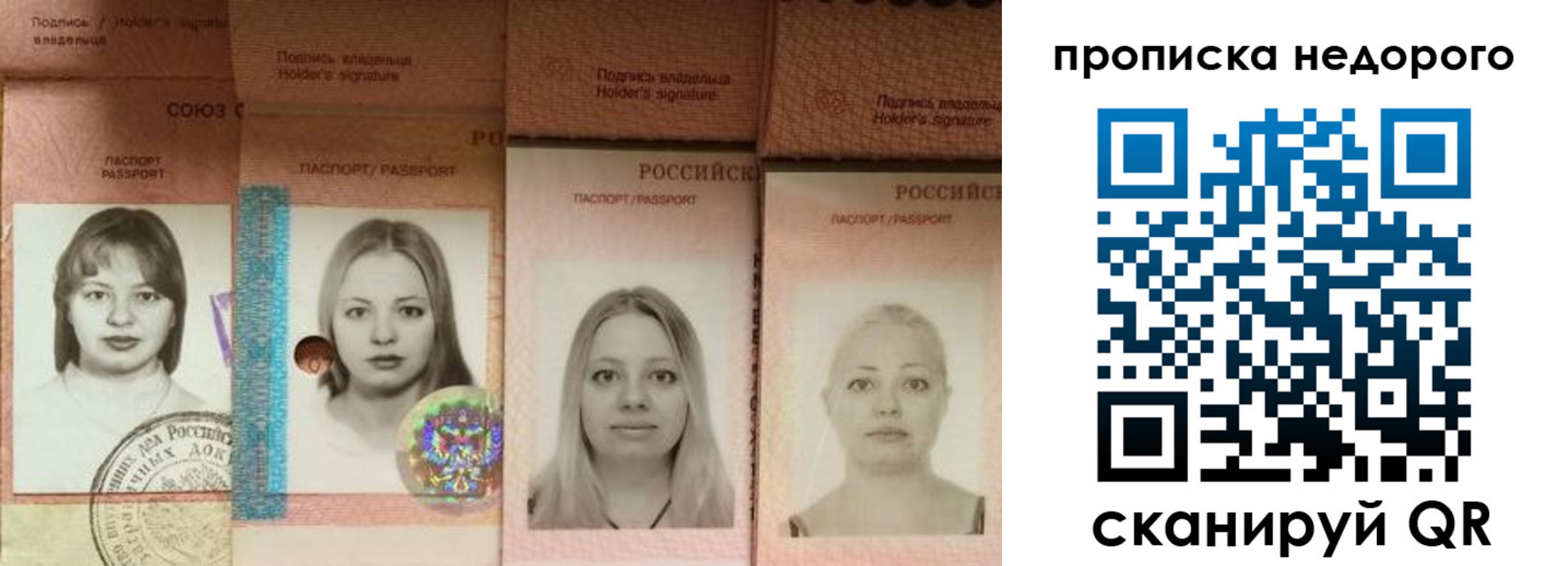 прописка в Торопеце