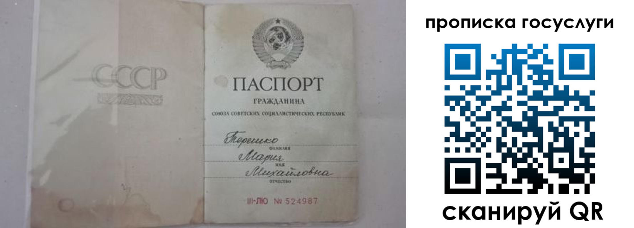 прописка ребенка в Торопеце